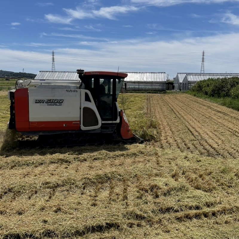 米と音 コンバインでの収穫