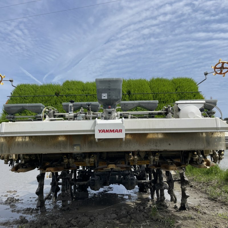 米と音 田植え作業